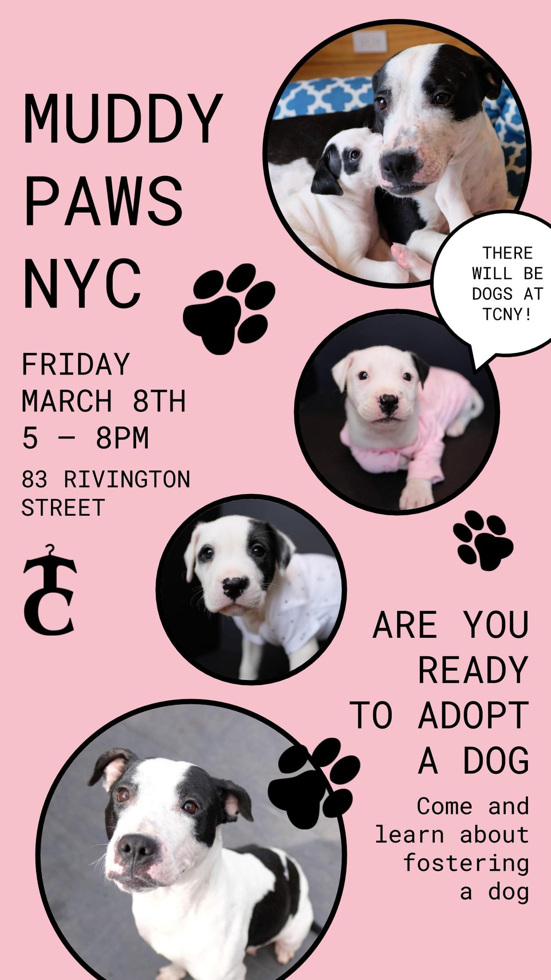 TCNY x Muddy Paws Rescue